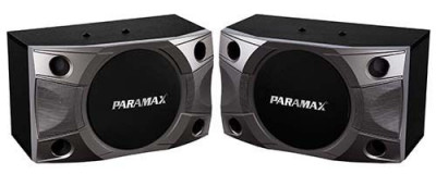 Sửa Chữa Loa Paramax P800