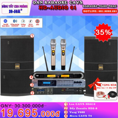 Sửa Dàn Karaoke CAVS HD-Audio 01