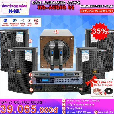 Sửa Dàn Karoke CAVS HD-Audio 02
