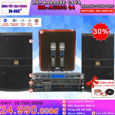 Sửa Dàn Karaoke Cavs HD-Audio 04