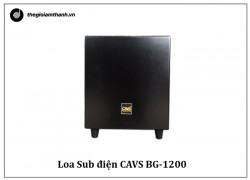 Sửa Chữa Loa Sub CAVS BG-1200