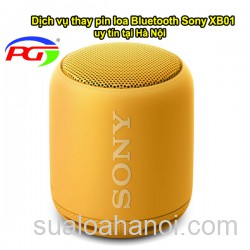 Trung tâm thay pin loa Bluetooth Sony XB10