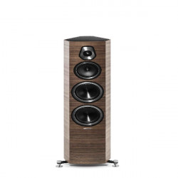 Sửa loa Sonus Faber Sonetto V