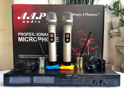 Sửa Chữa Micro karaoke AAP K-700