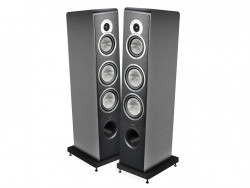 Sửa chữa loa Sonus Faber Principia 7