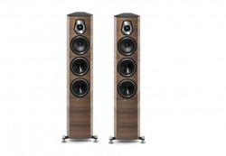 Sửa loa Sonus Faber Sonetto III